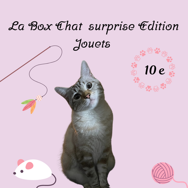 Box mystère jouet pour chat