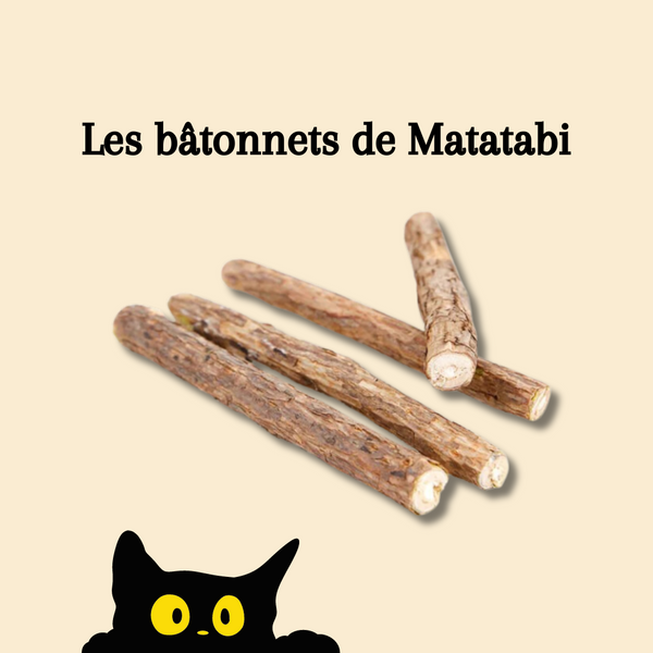 Les bâtonnets de Matatabi