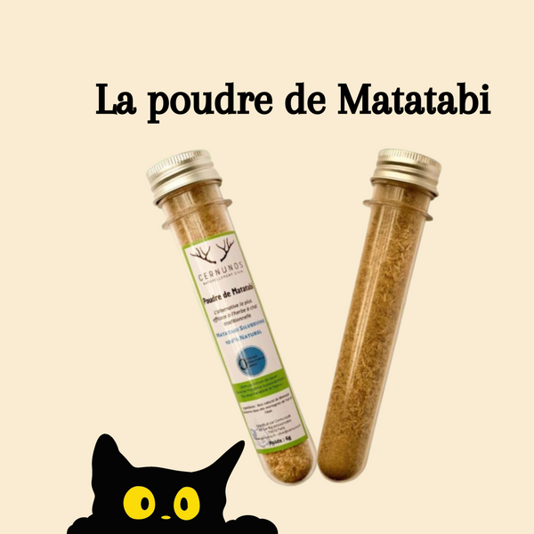 Poudre de Matatabi