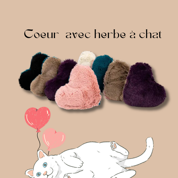 Cœur chat