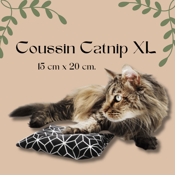 coussin tissu XL