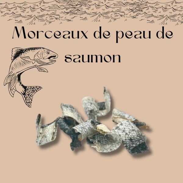 Morceau de peau de saumon